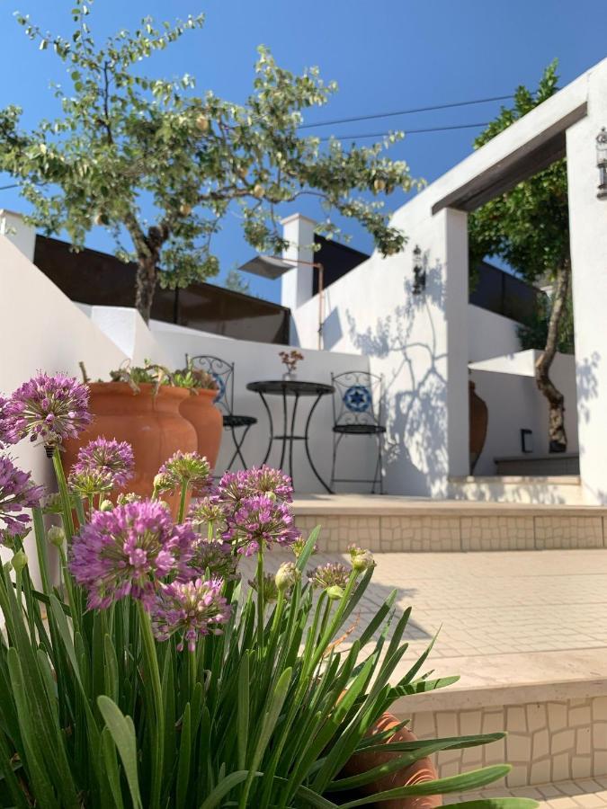Bed and Breakfast Casa Da Oliveira à Pedrogao Grande Extérieur photo