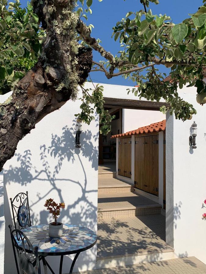 Bed and Breakfast Casa Da Oliveira à Pedrogao Grande Extérieur photo