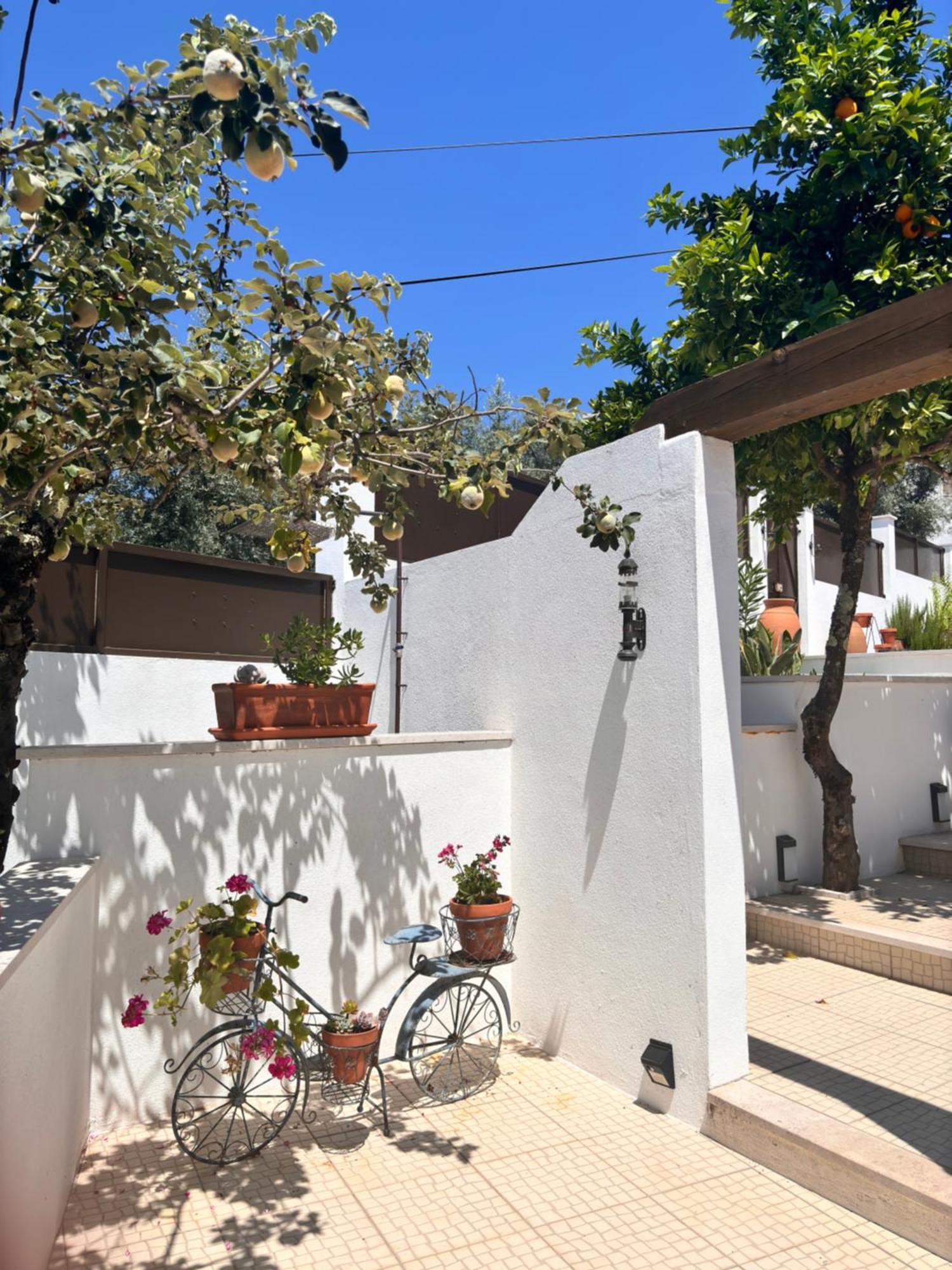 Bed and Breakfast Casa Da Oliveira à Pedrogao Grande Extérieur photo